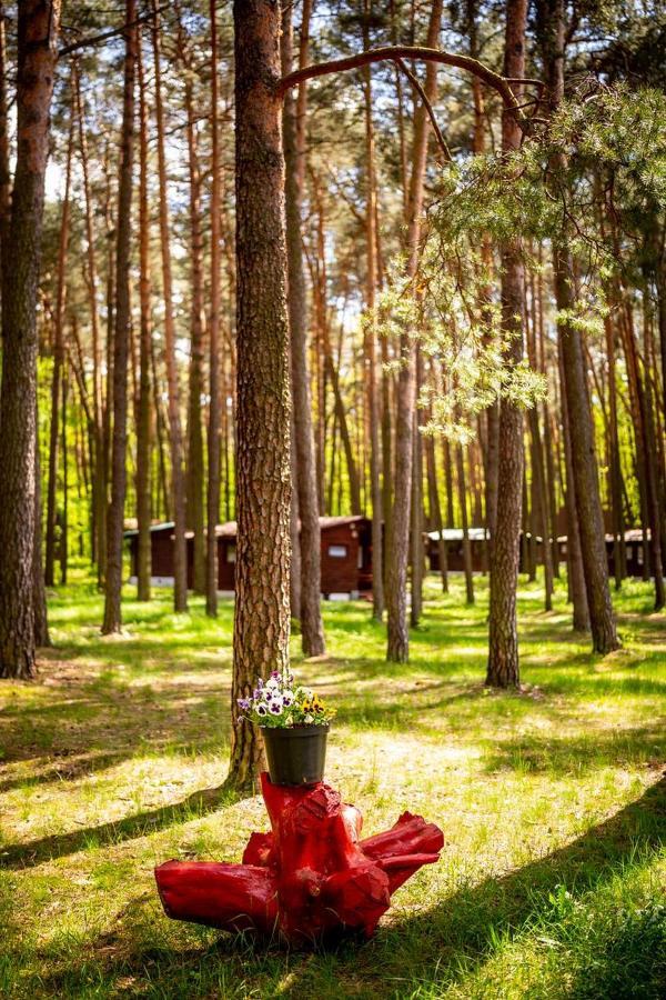AURA Grotniki Hotel Grotniki  Buitenkant foto